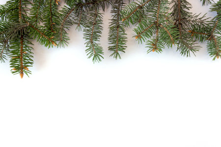 Spruce branches on a white background. Holiday postcard, invitation. The concept of New Year and Christmas. copyspace.の写真素材