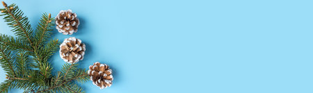 Spruce branches and pine cones on a blue background. banner. postcard. The concept of Christmas and New Year. copyspace. flat lay. top view.の写真素材
