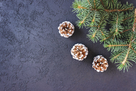 Spruce branches with cones on concrete background. Holiday banner, postcard, invitation. The concept of New Year and Christmas. copyspace.の写真素材