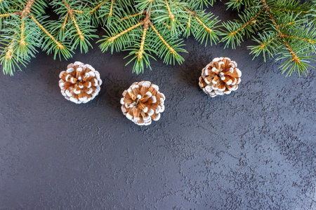 Spruce branches with cones on concrete background. Holiday postcard, invitation. The concept of New Year and Christmas. copyspace.の写真素材
