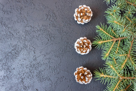 Spruce branches with cones on concrete background. Holiday postcard, invitation. The concept of New Year and Christmas. copyspace.の写真素材
