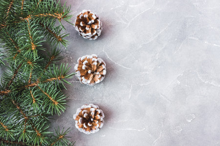 Spruce branches with cones on concrete background. Holiday postcard, invitation. The concept of New Year and Christmas. copyspace.の写真素材