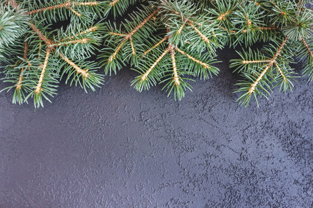 Spruce branches on concrete background. Holiday postcard, invitation. The concept of New Year and Christmas. copyspace.の写真素材