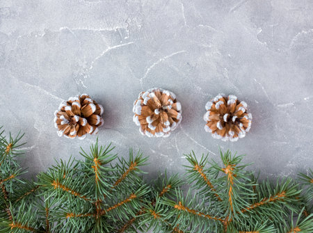 Spruce branches with cones on concrete background. Holiday postcard, invitation. The concept of New Year and Christmas. copyspace.の写真素材