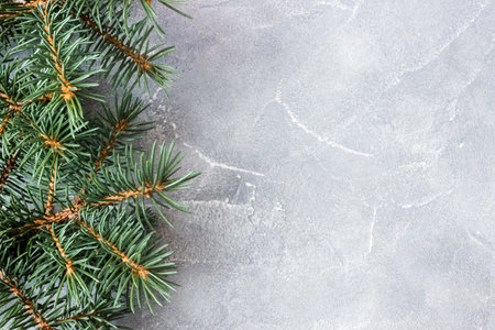 Spruce branches on concrete background. Holiday banner, postcard, invitation. The concept of New Year and Christmas. copyspace.の写真素材