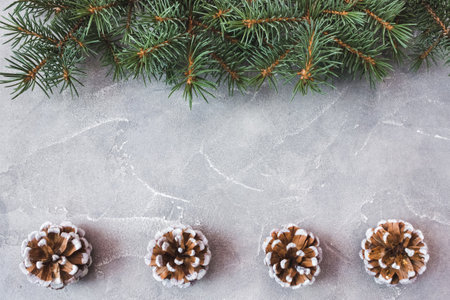 Spruce branches with cones on concrete background. Holiday postcard, invitation. The concept of New Year and Christmas. copyspace.の写真素材