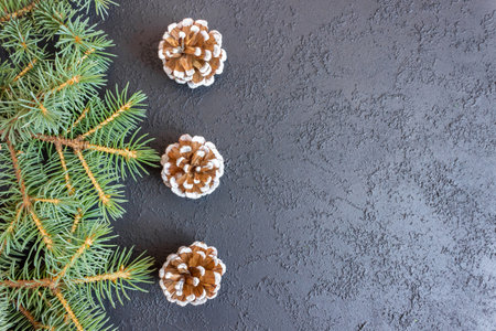 Spruce branches with cones on concrete background. Holiday postcard, invitation. The concept of New Year and Christmas. copyspace.の写真素材