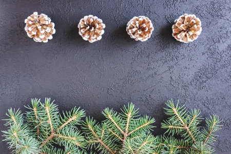 Spruce branches with cones on concrete background. Holiday postcard, invitation. The concept of New Year and Christmas. copyspace.の写真素材