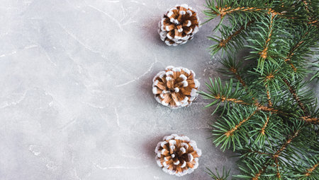 Spruce branches with cones on concrete background. Holiday postcard, invitation. The concept of New Year and Christmas. copyspace.の写真素材
