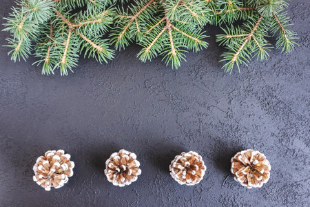 Spruce branches with cones on concrete background. Holiday postcard, invitation. The concept of New Year and Christmas. copyspace.の写真素材