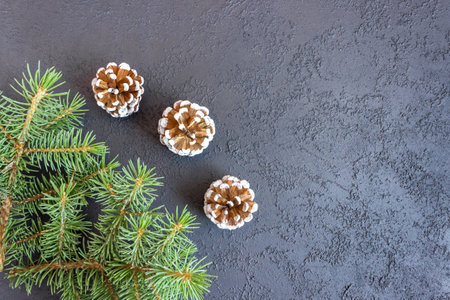 Spruce branches with cones on concrete background. Holiday banner, postcard, invitation. The concept of New Year and Christmas. copyspace.の写真素材
