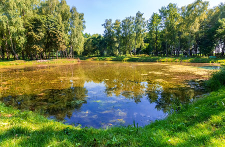 Lake surrounded by grass and green trees with blue sky on a summer day.の写真素材
