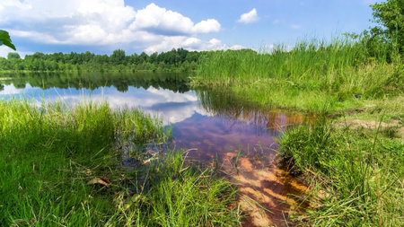Shatsk Lake with red water and reeds, Ukraine.