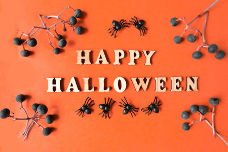 Happy Halloween inscription on an orange background with spiders and and sprigs of berries.の写真素材