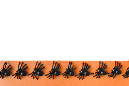 Halloween holiday. Flatly on an orange and white background. copyspace. Spiders in a row.の写真素材