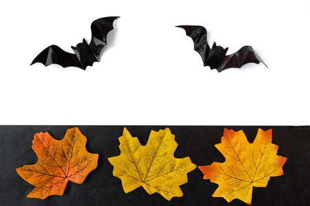 Halloween holiday. Flatly on a black and white background. copyspace. Yellow leaves and bats.の写真素材