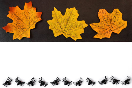 Halloween holiday. Flatly on a black and white background. copyspace. Yellow leaves and spiders in a row.の写真素材