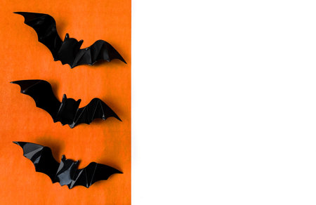 Halloween holiday. Flatly on an orange and white background. copyspace. Spiders in a row.の写真素材