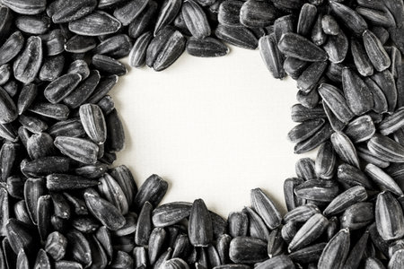 Sunflower seeds on a yellow background. Space for text.の写真素材