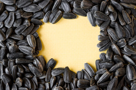 Sunflower seeds on a yellow background. Space for text.の写真素材