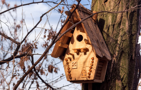 Wooden birdhouse on a tree.の写真素材
