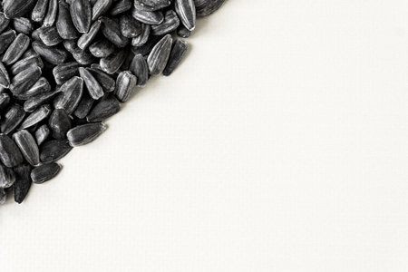 Sunflower seeds on a white background. Space for text.の写真素材
