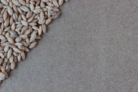pearl barley. view from above. Space for text.の写真素材