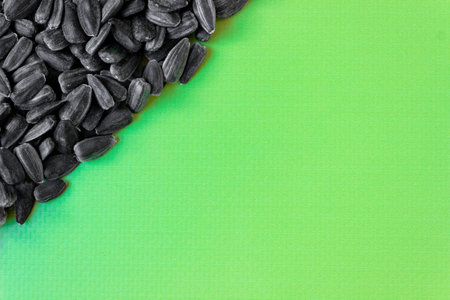 Sunflower seeds on a white background. Space for text.の写真素材