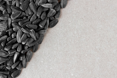 Raw sunflower seeds. top view. Space for text.の写真素材