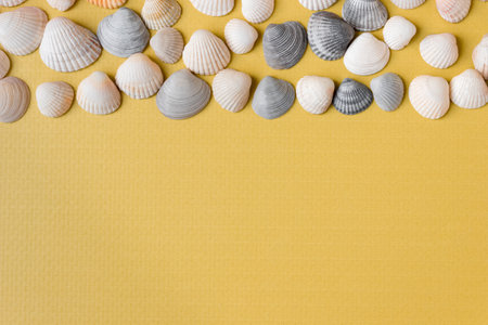 Marine multicolored seashells on a yellow background. view from above. Space for text.の写真素材