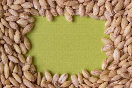 pearl barley. view from above. Space for text.の写真素材