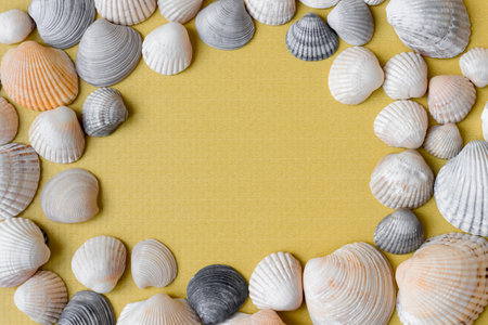 The frame of multi-colored seashells on a yellow background. view from above. Space for text.の写真素材