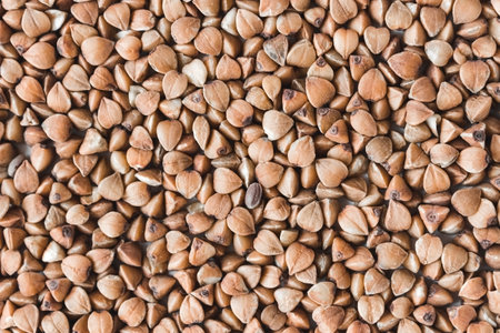 The grains of buckwheat are close-up.の写真素材