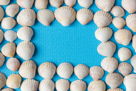 White seashells on a blue background. Space for text.の写真素材