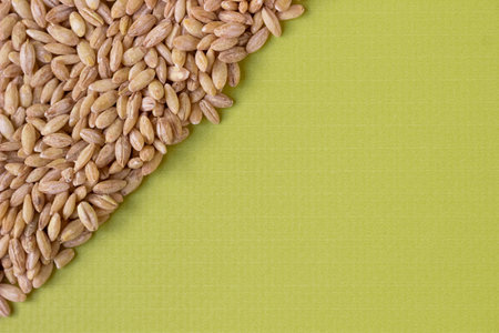 pearl barley. view from above. Space for text.の写真素材