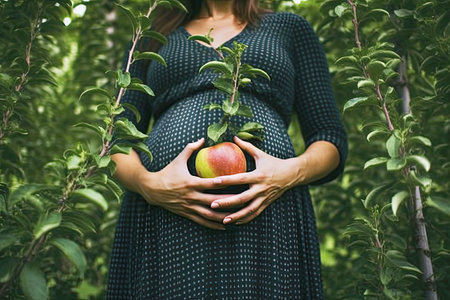 Pregnant woman holding an apple against the background of trees.の素材