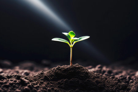 Life's renewal: emerging green sprout.の素材