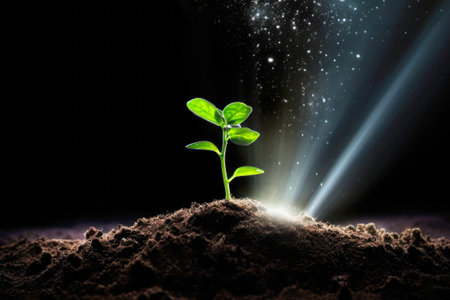 Sowing sustainability: a small green plant seedling.の素材