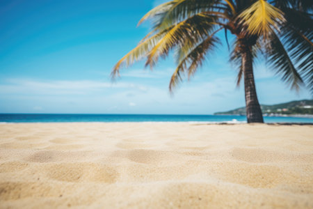 Idyllic seascape with palm trees, turquoise waves, and a sunny beach.の素材