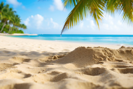 Summer getaway: A beach with palm trees, turquoise waves, and a sunny sky.の素材