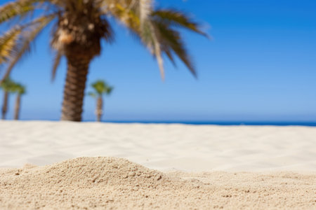 Tropical beach, palm trees, and a turquoise sea, a summer background.の素材