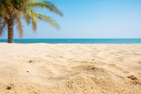 Beach with palm tree and sea view, text space.の素材
