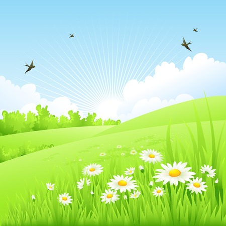 Clean spring amazing scenery. Vector illustration EPS 10のイラスト素材