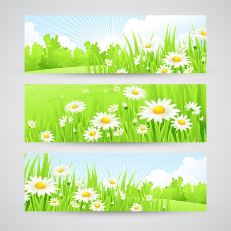 Clean spring amazing scenery. Vector illustration EPS 10のイラスト素材