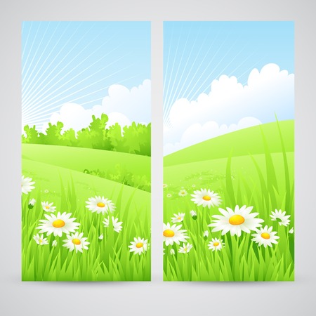 Clean spring amazing scenery. Vector illustration EPS 10のイラスト素材