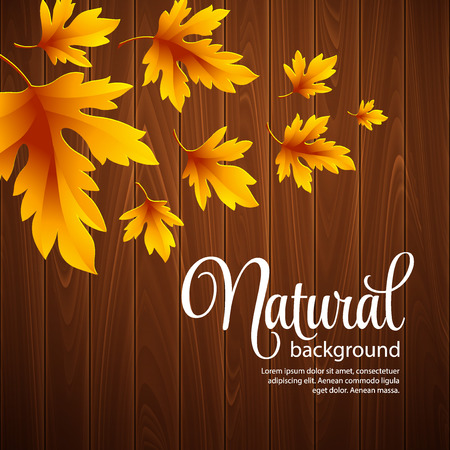 Autumn background with leaf and wood textureのイラスト素材