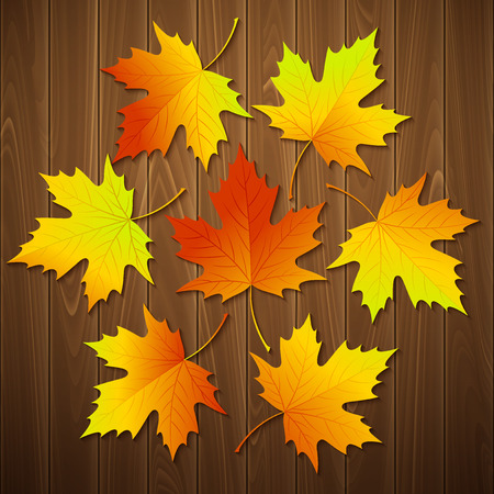 Autumn background with leaf and wood texture. Vector illustration のイラスト素材