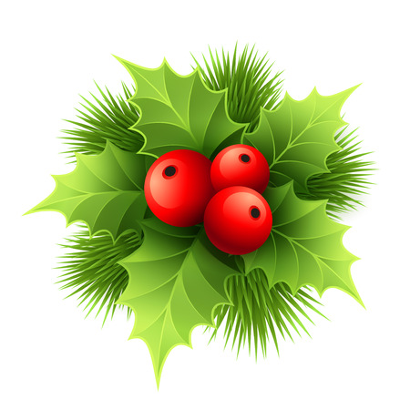 Vector Christmas holly with berries. Vector illustration EPS 10のイラスト素材