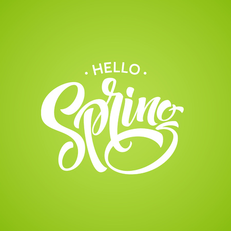 Hello Spring phrase lettering. Hand drawn calligraphy. Vector illustrationのイラスト素材