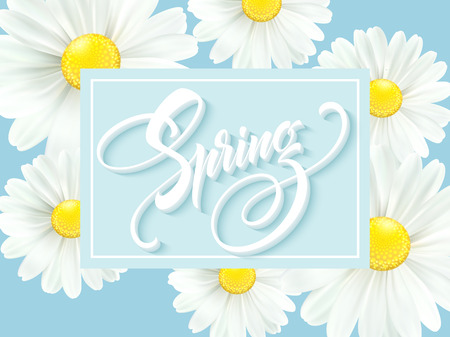 Calligraphic inscription hello spring with spring flower, blooming white daisy vector illustration.のイラスト素材
